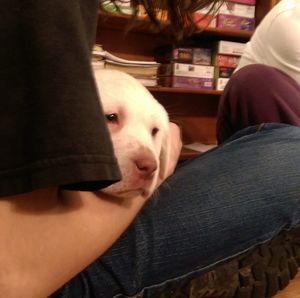 Meet your Posher, Kelley